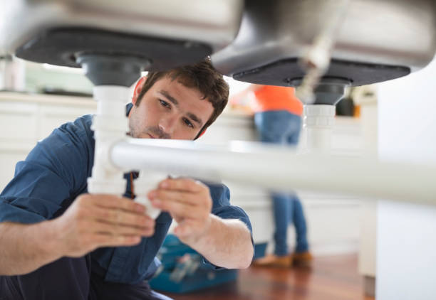 Best Clogged Drain Plumber  in Farmersburg, IN