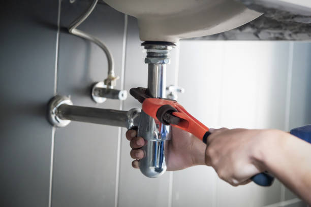 Best Local Plumber Services  in Farmersburg, IN